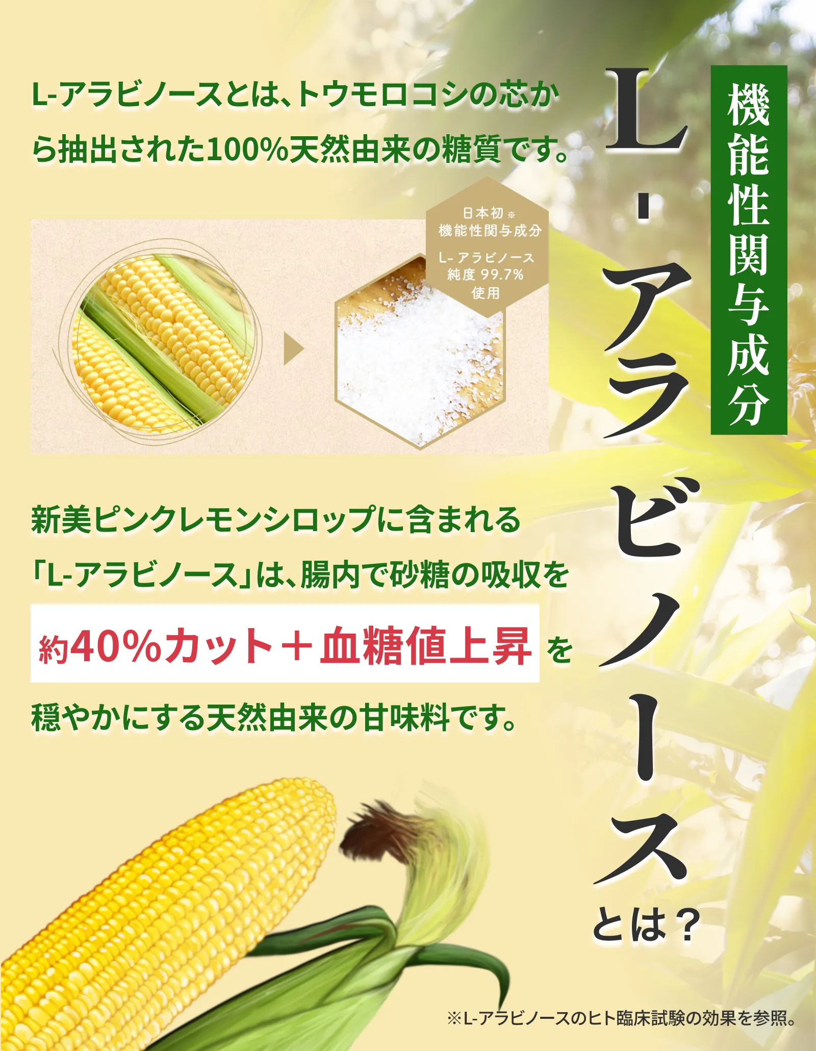 L-アラビノースとは？